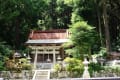 奈良　御所　高天彦神社　白雲嶽　ひまわり