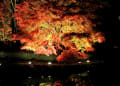 曾木公園の紅葉
