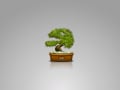 [73]bonsai_wall1_notext.png