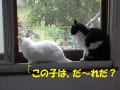 [307]さきちゃん20130511203842676.jpg