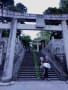 宮地嶽神社の花菖蒲