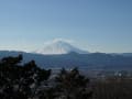 2015/02 国府津のみかん山を越える