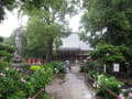 雨の能護寺