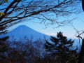 秋山*梅ヶ島から八紘嶺へ☆.。.:*・