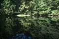 自然写景　夏の糠塚池