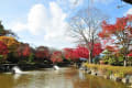 群馬桜山公園