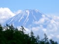 山梨県の甘利山・千頭星山に登りました