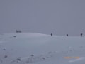氷ノ山スキー登山 2016-2-7