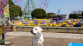 ひたち海浜公園