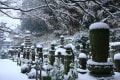 大津坂本慈眼堂の雪