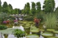 草津水生植物公園みずの森の夏