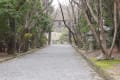 [4]大原野神社 002.jpg