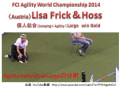 FCI Agility World Championship 2014　個人L　Lisa Frick＆Hossの動画から