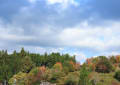 三河湖・茶臼山の紅葉