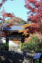 海蔵寺の紅葉