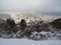 函館山・観音コース散策２０１６年１月７日