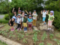 ひまわりの苗植えinグリッピ 2015.06.25