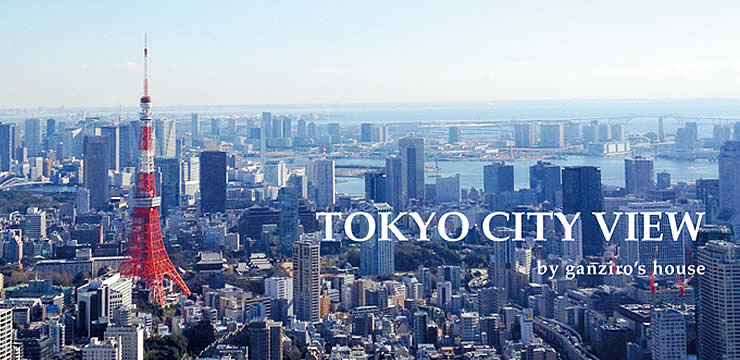 六本木ヒルズの東京シティビューなら 風に乗って太平洋までひっと飛びできそうです がん治郎のお散歩スクラップノート