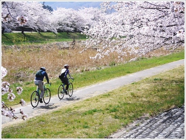 上野公園 自転車走っていいの