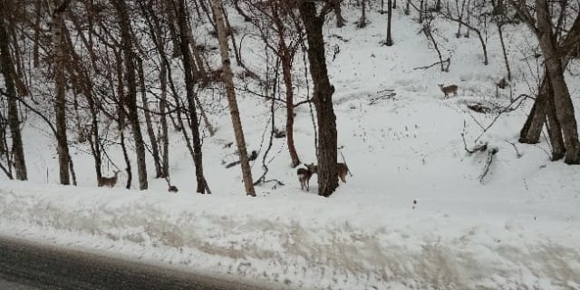 北海道　札幌　空手　今日は支笏湖〜