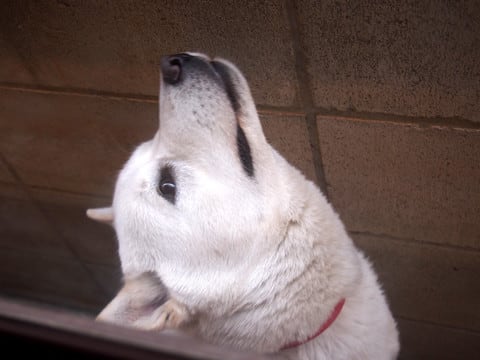 TOMOさんブログより拝借＾＾；