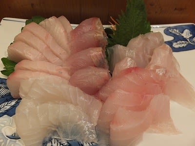 鮮魚屋 Wonder Land Alice S Blog