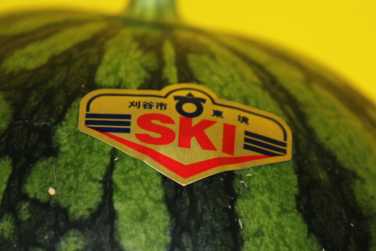 SKI西瓜の頂き物の画像