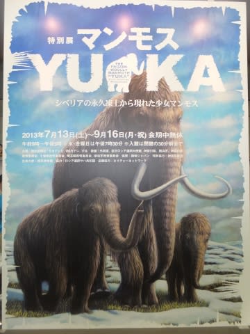 特別展 マンモス ｙｕｋａ パシフィコ横浜 スヌスムムリクのtsurezure Diary