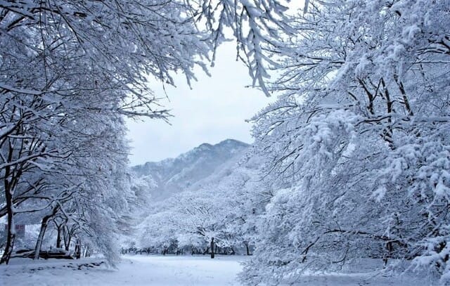 美しい雪景色を懐かしむ そして 雪の降るまちを 後藤和弘のブログ