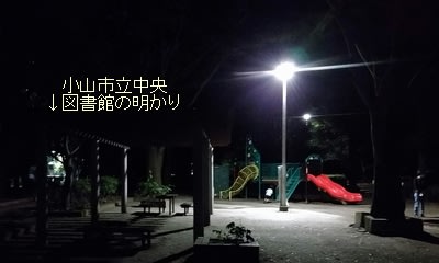 秋の夕方の城東公園(栃木県小山市城東)