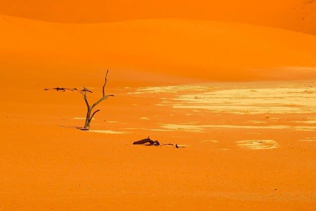ナミビア ナミブ砂漠 Deadvleiデッドフレイ 風と水の記憶 Mitsuhiro S Photo Page 田谷光宏
