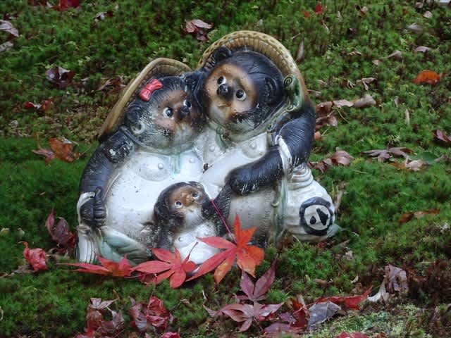 紅葉 最勝院高徳庵 南禅寺 京の昼寝