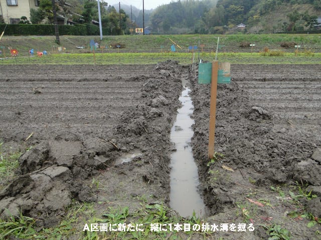 重い土をエンヤコラで掘りました。