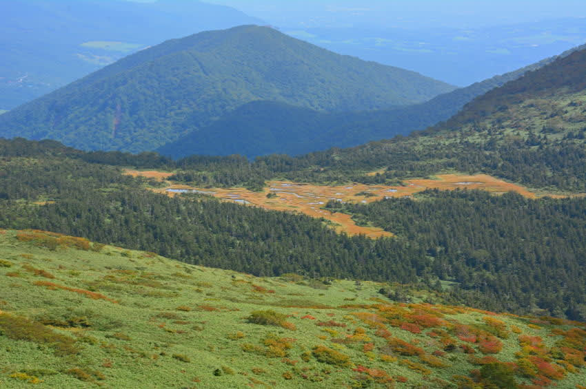 遥かなる千沼ヶ原 2 14年9月15日 モウズイカの裏庭2 遥かなる千沼ヶ原 2 14年9月15日 モウズイカの裏庭2