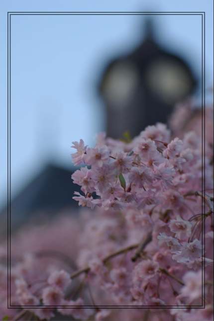 文