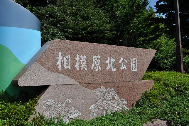 相模原北公園 Happy Drive