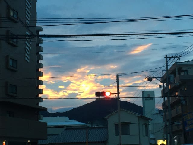 イメージ 10