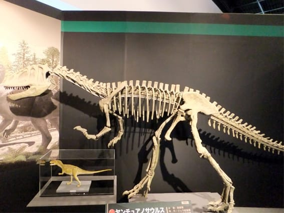 2015特別展・南アジアの恐竜時代 - 肉食の系譜