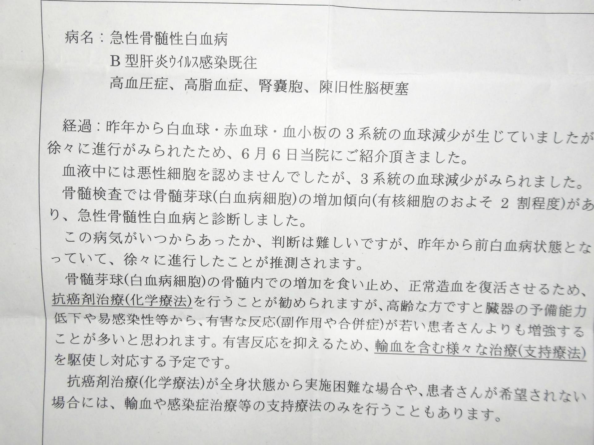 夢じゃない 厳しい現実 白血病 脳内出血に負けないで 夢じゃない 厳しい現実 白血病 脳内出血に負けないで