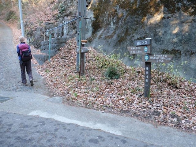 峰山 570m やまなみ温泉 新年安直登山 好天 好山あるき