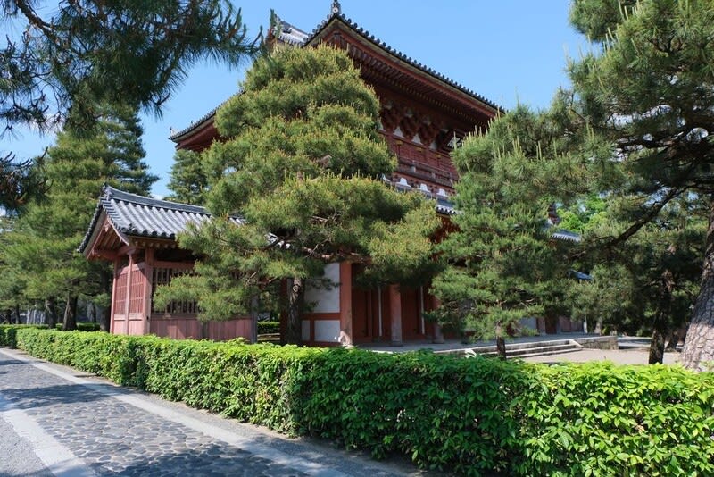 大徳寺 塔頭 黄梅院・龍源院・興臨院 京都市北区 2022.5.21