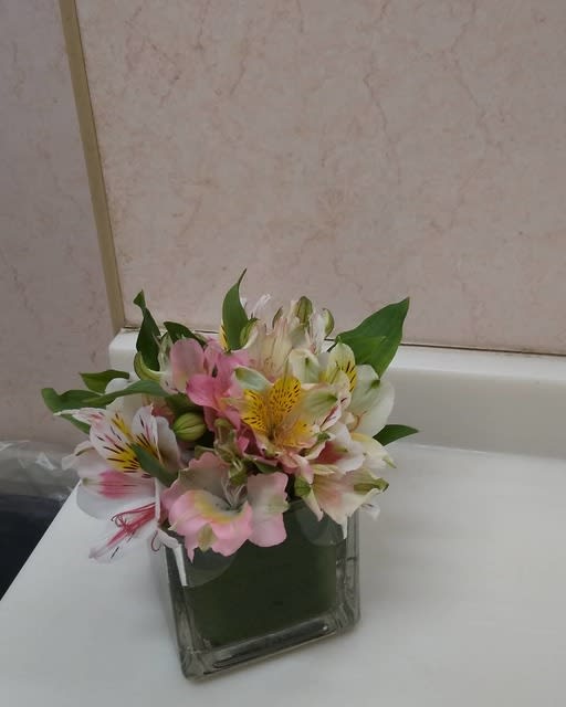 おトイレに飾る花 ジュイール オフィシャル ブログ