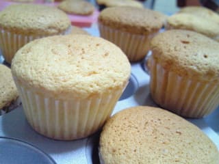 チェリーのプチカップケーキ Many Things チェリーのプチカップケーキ Many Things