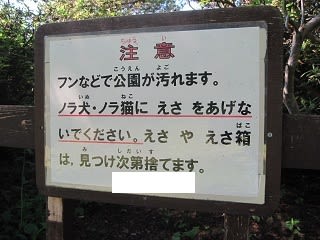 函館の猫と北九州、藍島の猫 - 萬福童～福太郎のおうち～