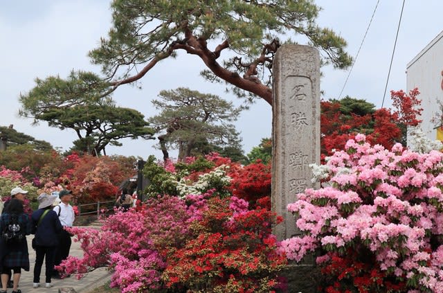 つつじが岡公園 歩き廻ってパチリ