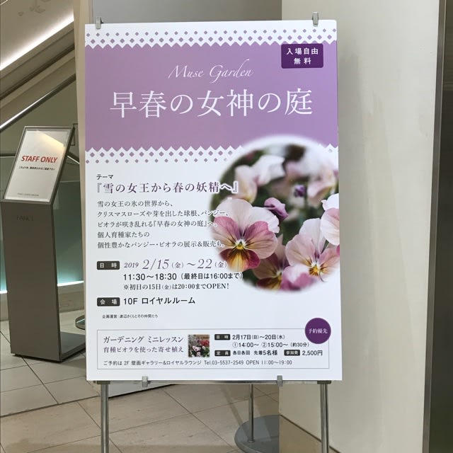 ファンケル銀座スクエア 早春の女神の庭 薔薇と草花の日記 ファンケル銀座スクエア 早春の女神の庭 薔薇と草花の日記