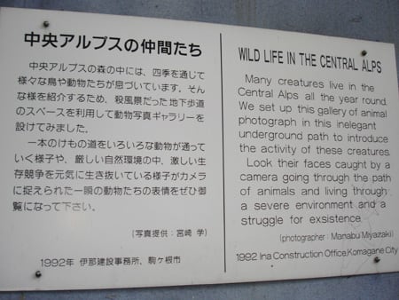 宮崎学「中央アルプスの仲間たち」。