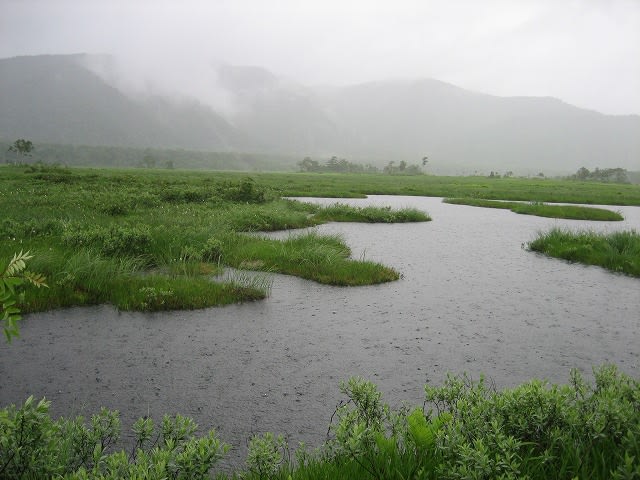 浮島の説明