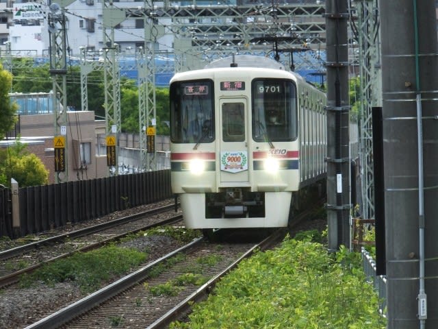 京王線9000系20周年記念HM車 2021.5.2 - ウリパパの日記