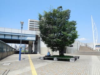 木陰